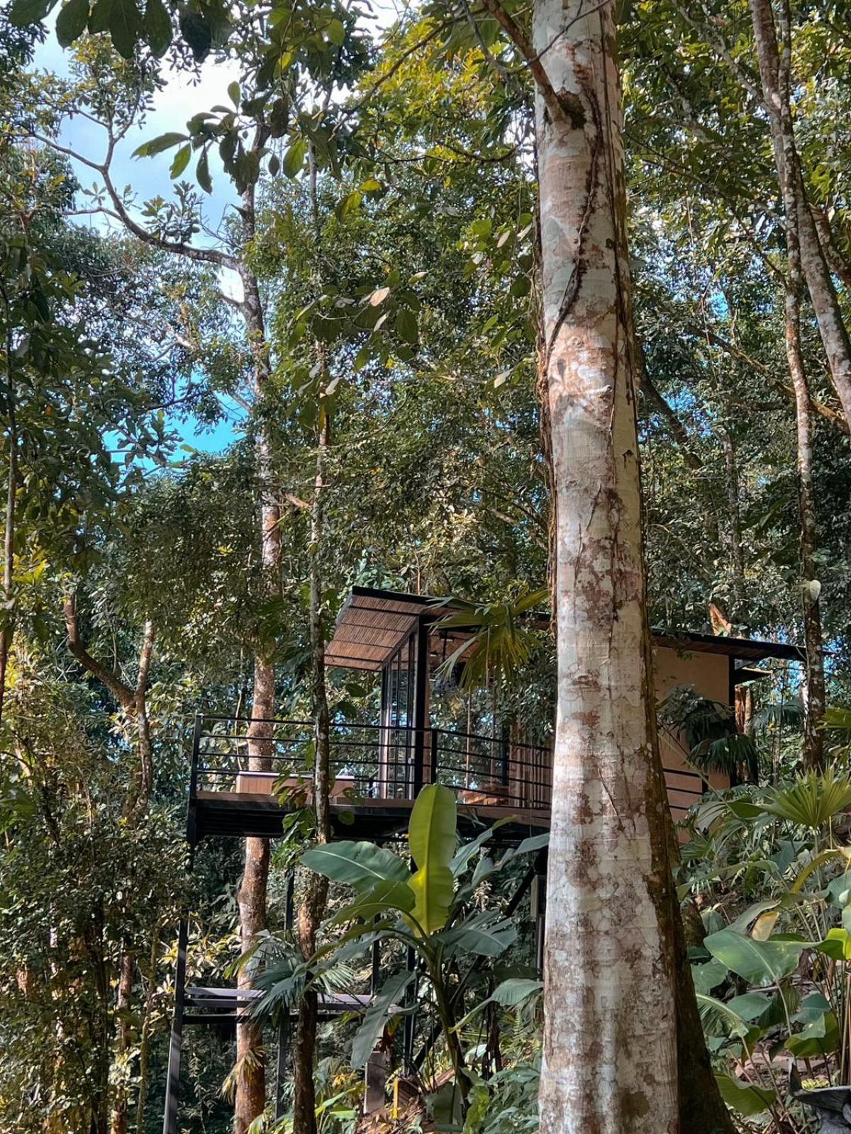 ホテル Rincon De La Sierra ミンカ エクステリア 写真