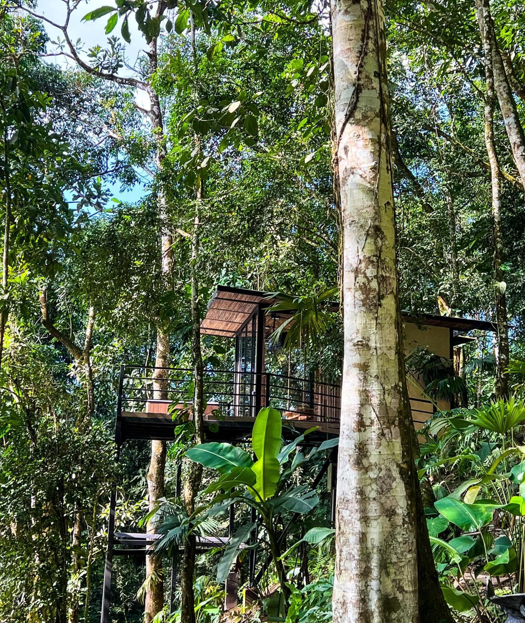 ホテル Rincon De La Sierra ミンカ エクステリア 写真